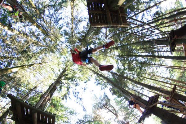 Camping Lac De Savenay : Accrobranche 03