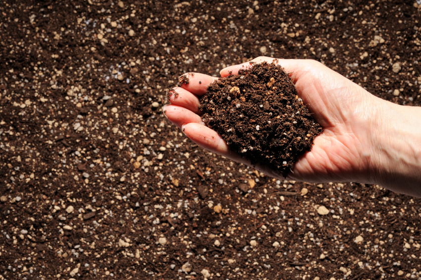 Camping Lac De Savenay : compost