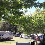 Camping Lac De Savenay : Emplacement Camping 07