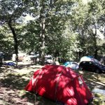 Camping Lac De Savenay : Emplacement Camping Semi Ombragé 03