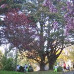 Lac de Savenay Campsite: Family atmosphere