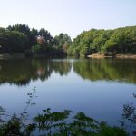 Camping Lac De Savenay : Le Lac Savenay 07