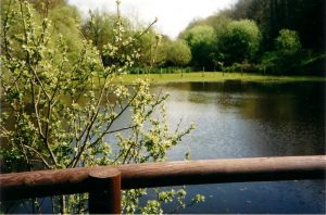 Lac de Savenay Campsite: Le lac Savenay 10