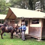 Lac de Savenay Campsite: Locataire Insolite 02