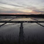 Lac de Savenay Campsite: Guérande salt marshes