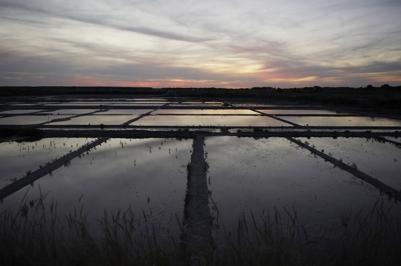 Lac de Savenay Campsite: Guérande salt marshes