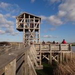 Lac de Savenay Campsite: Lavau-sur-Loire Observatory