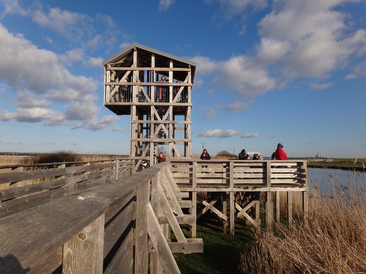 Camping Lac De Savenay : Observatoire Lavau Sur Loire