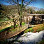 Camping Lac De Savenay : Pont De Singe Bord Du Lac