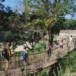 Camping Lac De Savenay : Pont De Singe Et Théâtre De Verdure Au Bord Du Lac Office Tourisme