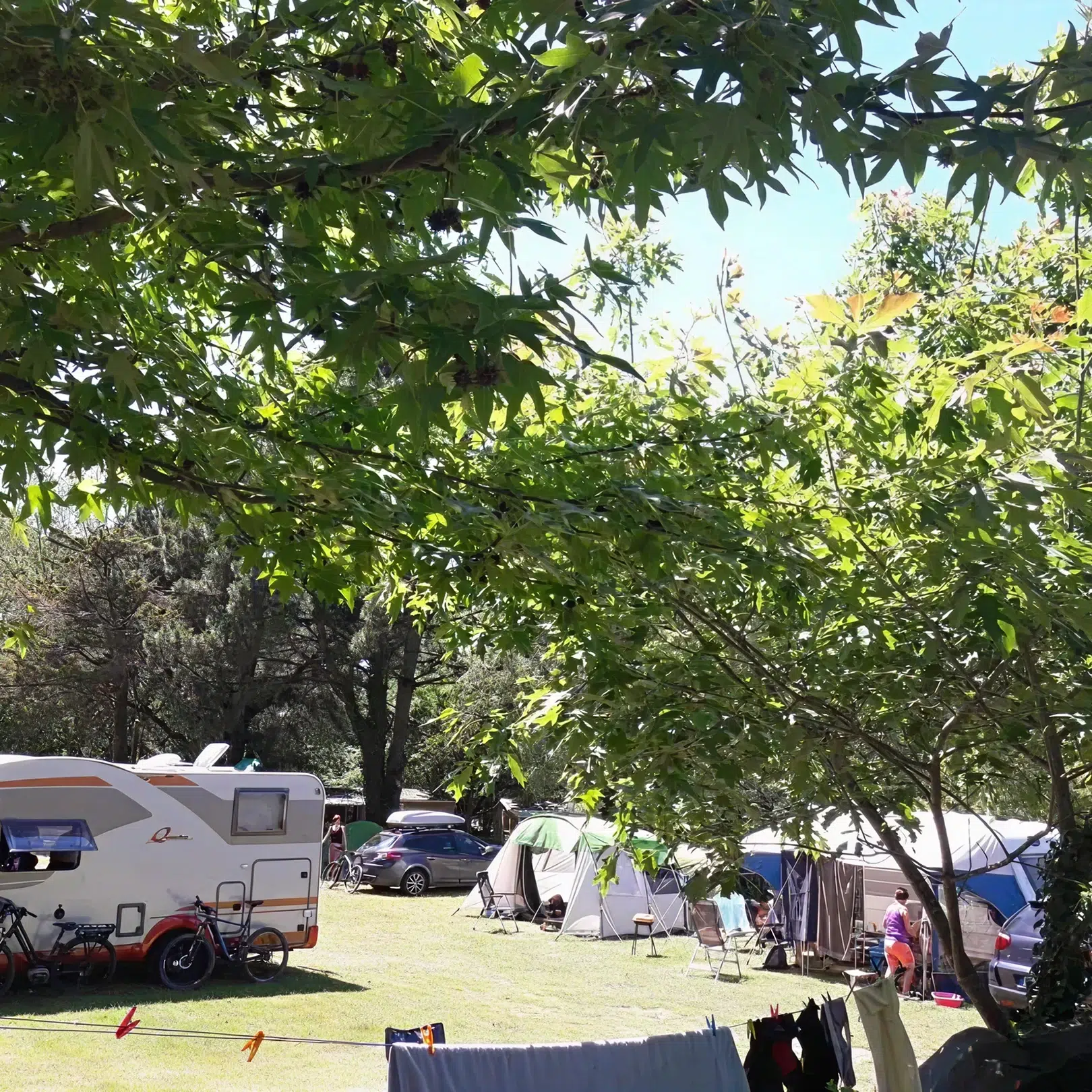 caravane emplacement ensoleille