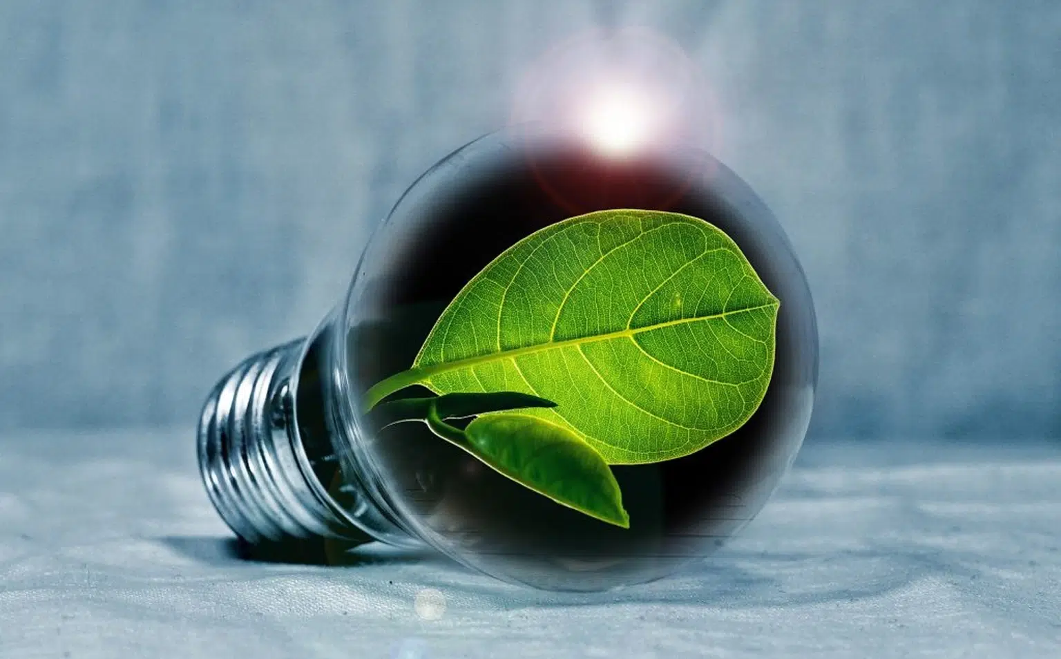 energie renouvelable