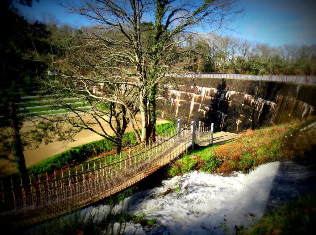 pont de singe bord du lac